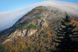 Morning Fog Near Mt. Mitchell