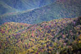 Looking Down At Autumn Colors