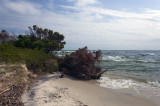 Southern Most Point On Hatteras Island