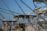 Charter Boats-Evening Light