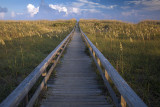 Walkway To The Beach