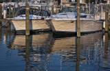 Harbor Reflections