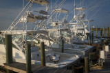 Morning Light On Charter Boats