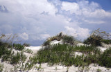 An Okracoke Dune