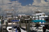Crowed Harbor