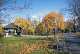 A Fall Afternoon Walk