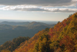 Morning Light On Autumn Colors