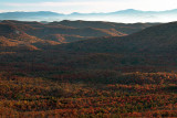 Strong Reds In The Valley