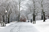 The Walkway Along The Duck Pond