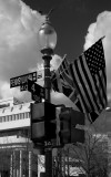 Flags Displayed For An International Conference In Washington DC