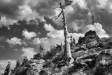 Near Trail Ridge Road, Rocky Mountain National Park-Colorado