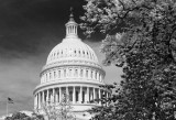The Capital Building, Washington DC-Not Sure How Much Gets Done There, But It Is A Nice Looking Structure