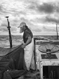 Pound Fishing, Pulling In The Net