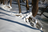 A Small Creek Freezing Over-Giles County