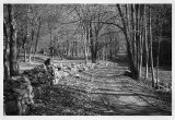 Fall Trail To The Cascades, Giles County, Virginia