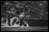 Old Barn At Glen Alton, Giles County, Virginia