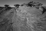 Erosion Is Nothing More Than Time, Wind And Water-Page, Arizona