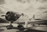 A Japanese World War II Alchi D3A Val - A Ghost From The Past