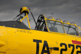 Dan's T6G