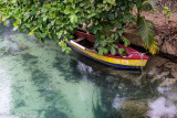 Canoe Under Sea Almond Tree