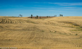 _DSC7326.jpg