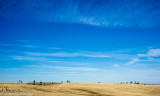 _DSC7327.jpg