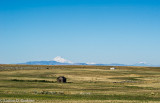 _DSC7332.jpg