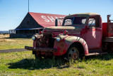 _DSC7364.jpg