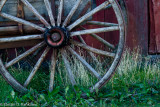 _DSC7381-2.jpg