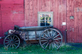 _DSC7381.jpg