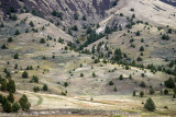 _DSC2677.jpg