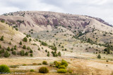 _DSC7446.jpg
