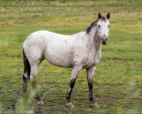_DSC7472.jpg