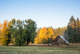_DSC7641.jpg