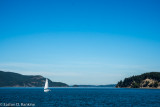 _DSC9083.jpg