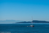 _DSC9087.jpg
