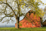 .Red Barn