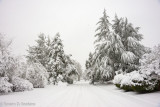 _DSC3533.jpg