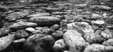 Rocks in a stream bed.