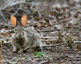 At I-20 Preserve