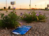 No shortage of Bud cans in Midland