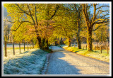 Sparks Lane, Cades Cove