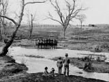 September 1861 - Union Cavalry at Sudley Springs