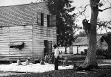 1862 - Preparing cotton for the gin