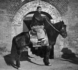 1909 - A typical Qli pony