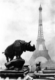 1920 - Near and far