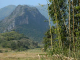 bamboo and mountain.jpg