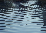 ripples.jpg