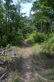 Trail Leading In To Pedestal Rocks King's Bluff