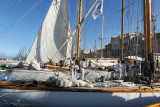 1758  Voiles de Saint-Tropez 2013 -  MK3_1481 DxO Photo Patrick Debetencourt.jpg